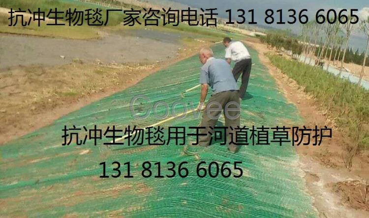椰絲毯環(huán)保草毯抗沖生物毯生態(tài)毯邊坡修復(fù)cf網(wǎng)膨潤土防水毯