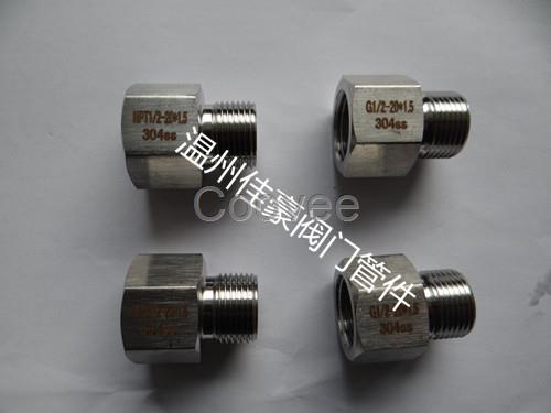 1/2NPT-M20*1.5不銹鋼內(nèi)外絲儀表轉(zhuǎn)換接頭