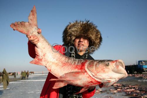 查干湖魚(yú)禮品盒春節(jié)送禮查干湖魚(yú)