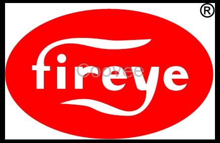 FIREYE/EUVS4美國火焰檢測器放大器模塊全新