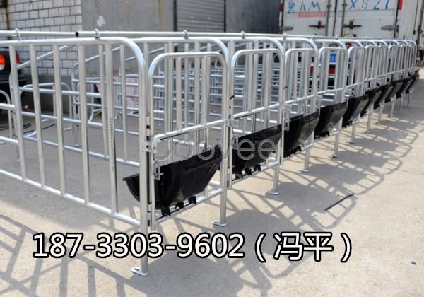 隨州豬用限位欄熱鍍鋅母豬定位欄養豬設備廠家馮平出售