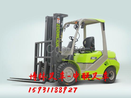 衡水內燃電動叉車定做