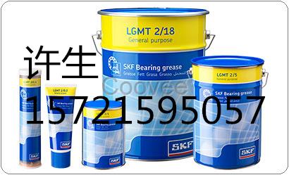 SKF729101B注油泵400兆帕壓力