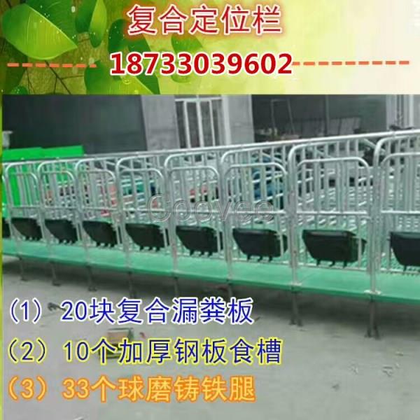 德陽復合板定位欄規格母豬保胎欄質量
