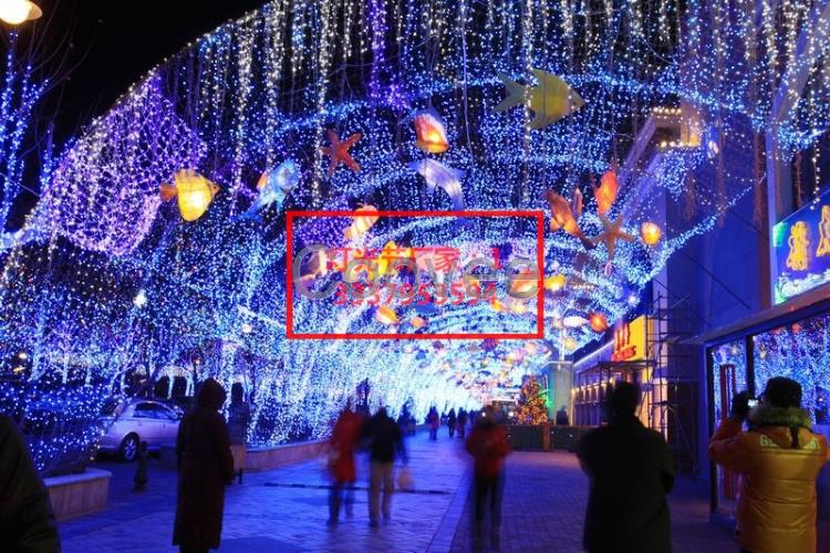 藝術(shù)燈光展供應(yīng)全國燈光節(jié)廠家