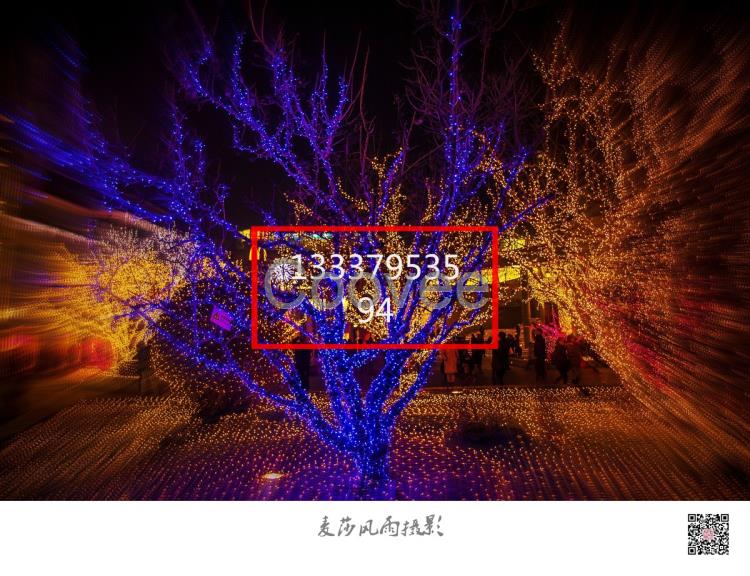 夢幻燈光節廠家制作夢幻燈光節造型布置