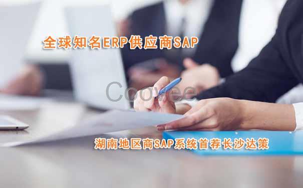 湖南SAP實(shí)施商湖南地區(qū)SAP咨詢公司就選長沙達(dá)策