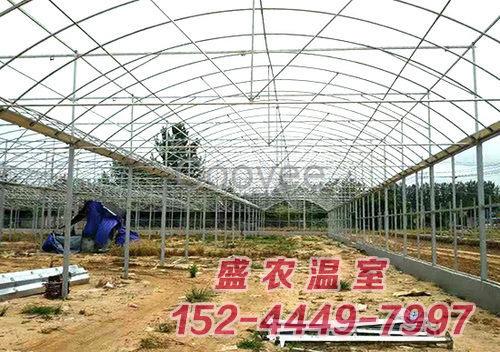 pc板薄膜連棟溫室建設