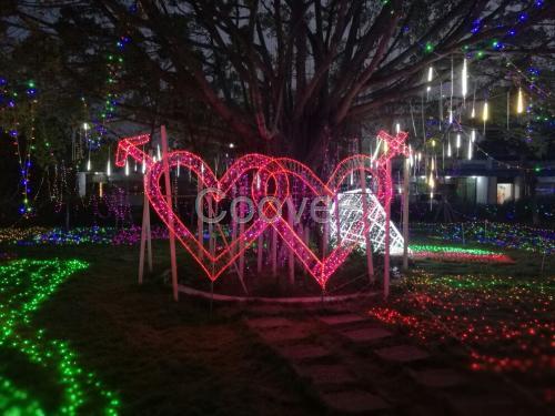 夢幻燈光展制作廠家出售全國承接燈光展活動