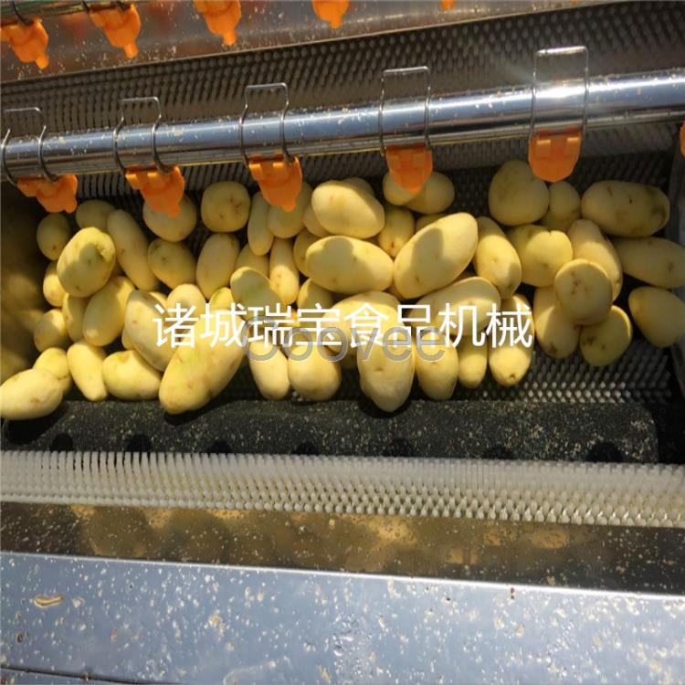 毛輥清洗機土豆毛輥清洗機洋芋毛輥清洗機