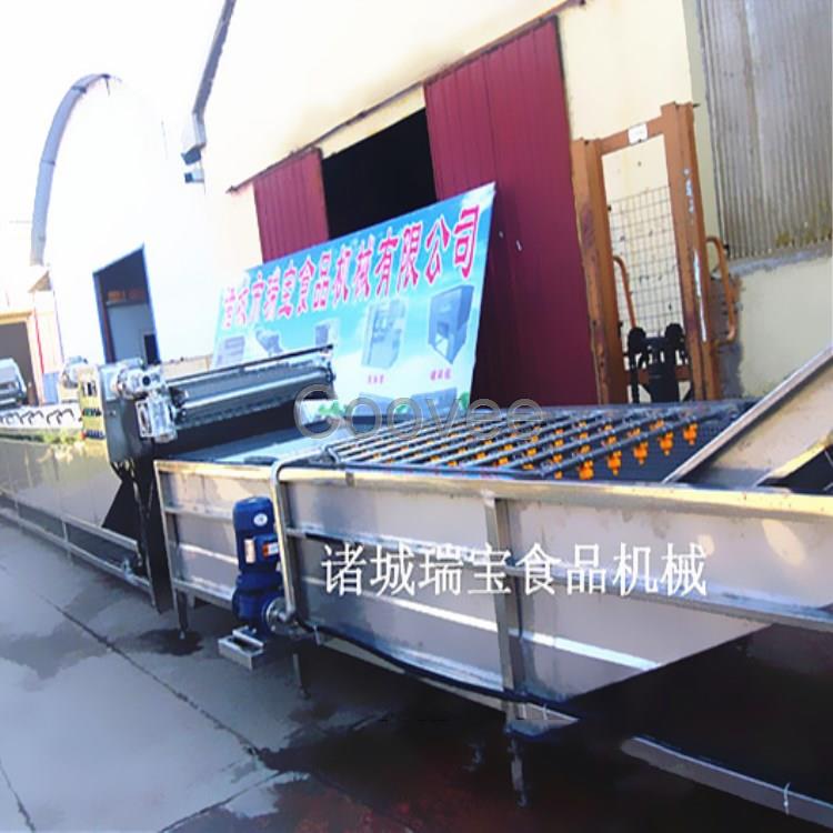 氣泡清洗機大棗氣泡清洗機枇杷氣泡清洗機