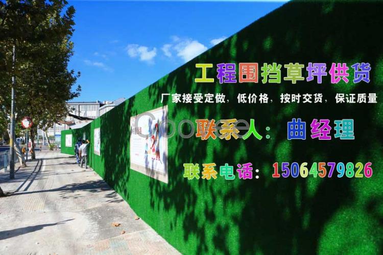 鞍山圍欄墻面草坪廠家建筑工地圍擋防護草坪