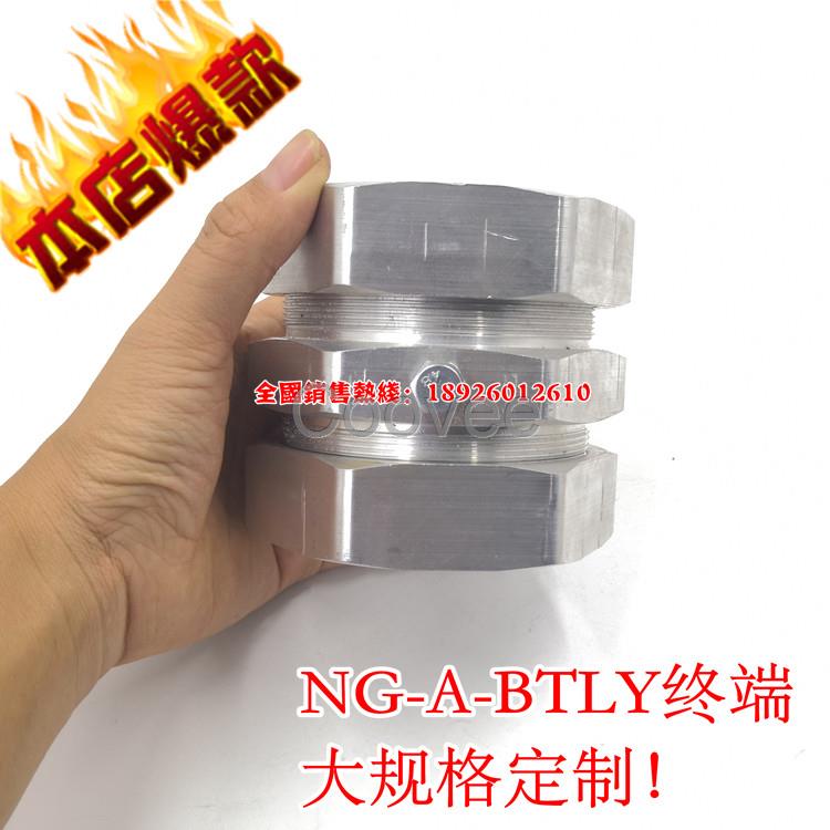 廠家供應(yīng)NG-A-BTLY礦物質(zhì)絕緣電纜終端頭礦物質(zhì)電纜頭