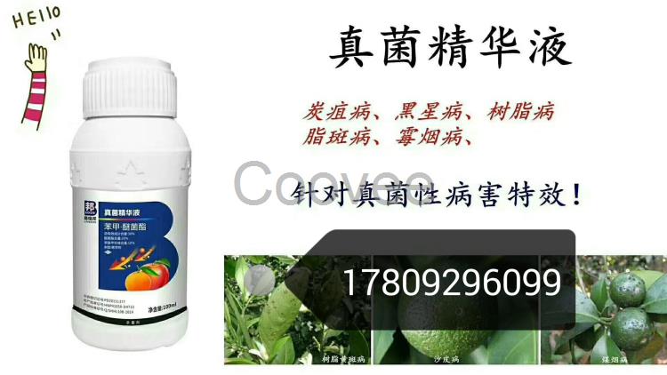 真菌精華液.西安易植邦.防治脂點黃斑病.炭疽病