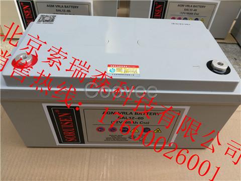 銷售索瑞森免維護鉛酸蓄電池SAL12V24AH原裝