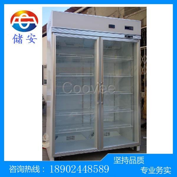 微電子元件防潮恒溫存儲柜