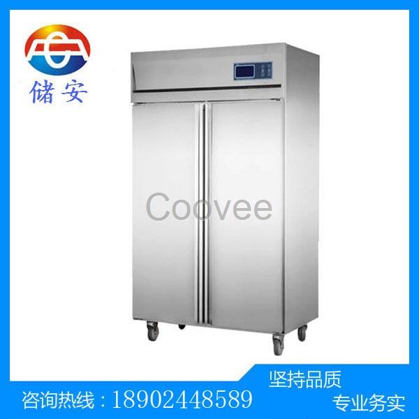 直銷菲林存儲用恒溫恒濕柜-精密恒溫恒濕
