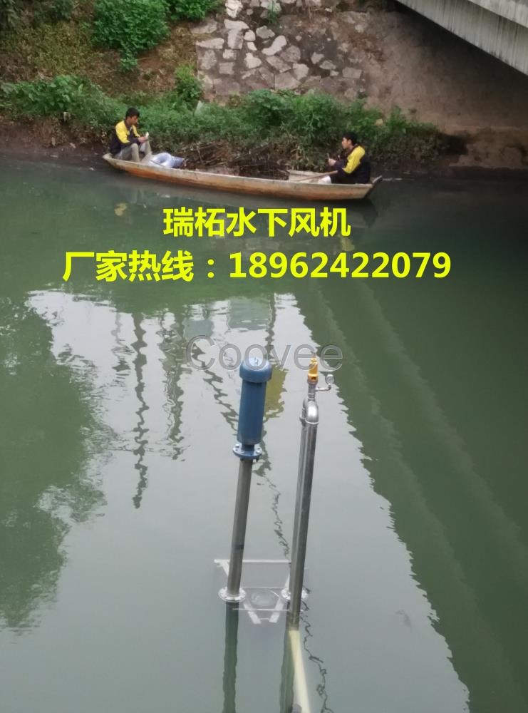 沉水式鼓風機河道治理之生物生態(tài)水體修復工程