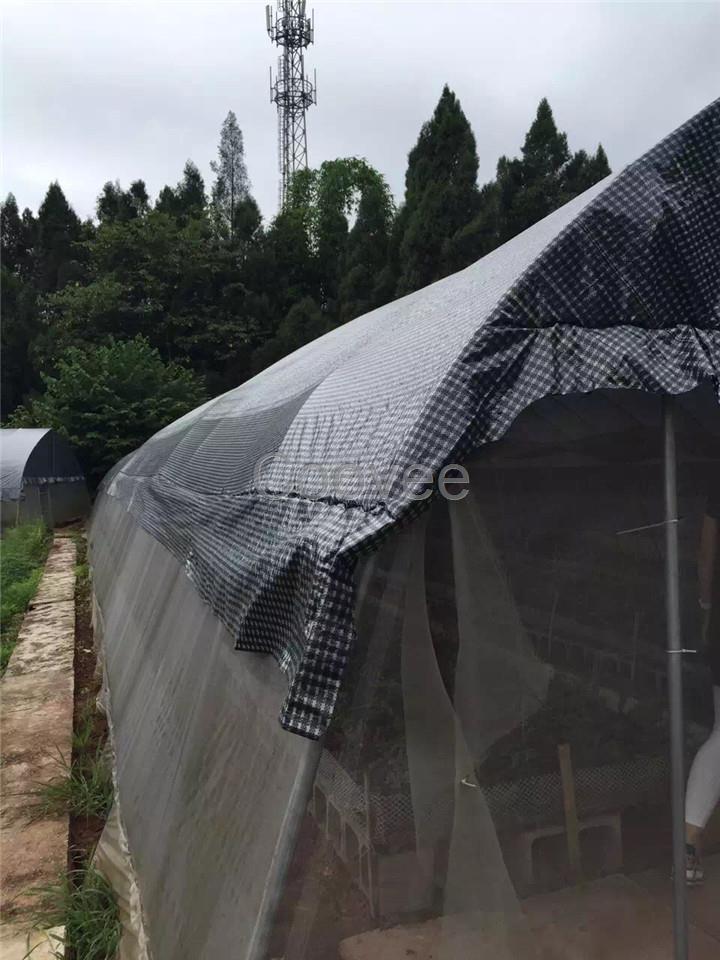 石斛食用菌編織黑白格膜透光率15-25%二合一控光膜150g