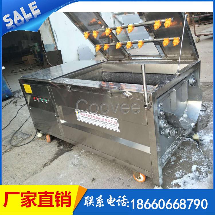 毛輥清洗機(jī)果蔬毛輥清洗機(jī)根莖類蔬菜清洗機(jī)