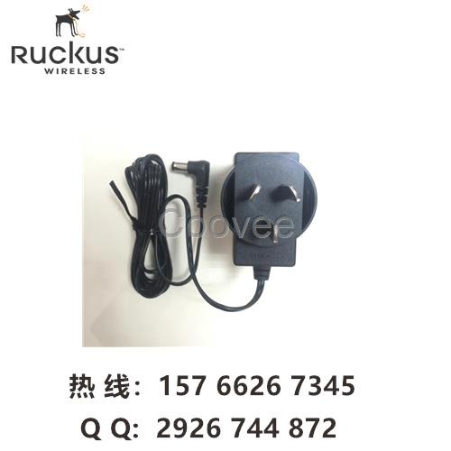 ruckus原装电源适配器902-0173-CN00