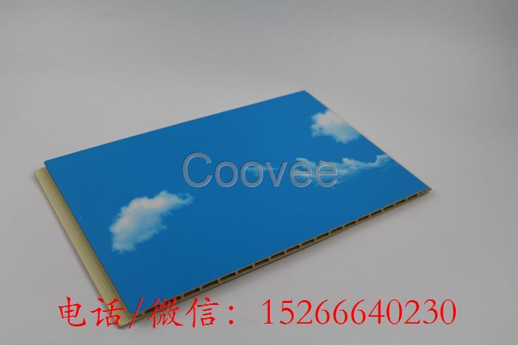溫州600集成墻板防水防潮阻燃