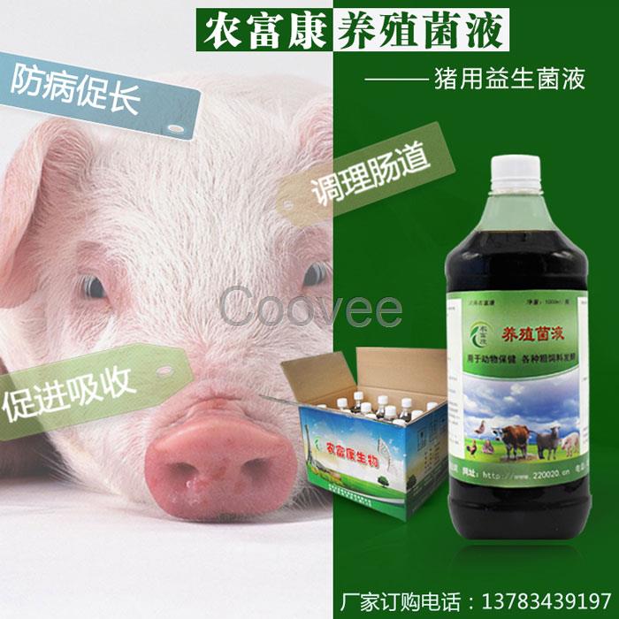 養(yǎng)雞改善腸道促進消化吸收的飲水保健液好
