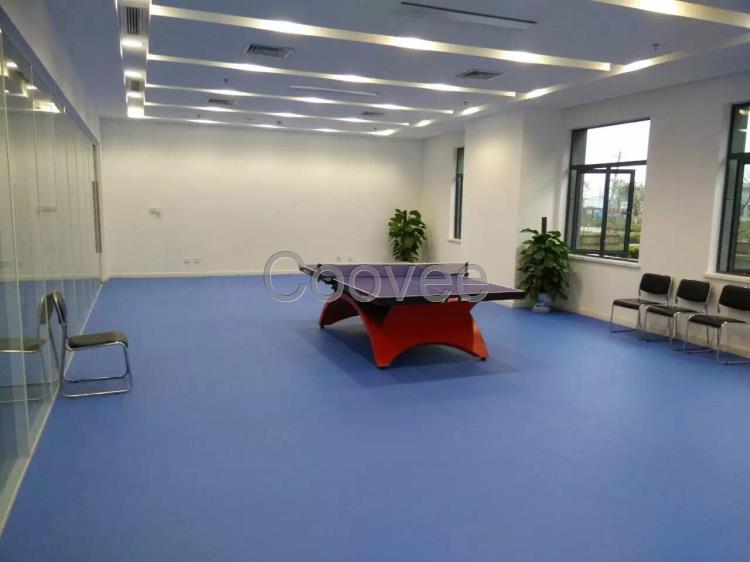 湖南長沙乒乓球館塑膠地板專用室內PVC地膠