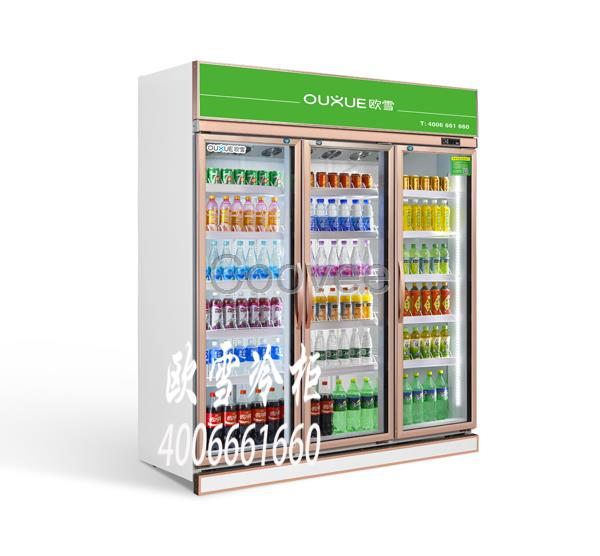 供應(yīng)便利店玫瑰金色飲料展示柜