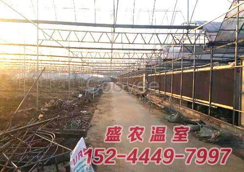 pc板薄膜連棟溫室工程廠家