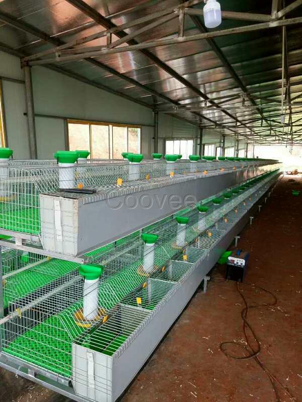 【养殖兔笼】兔子笼子批发市场