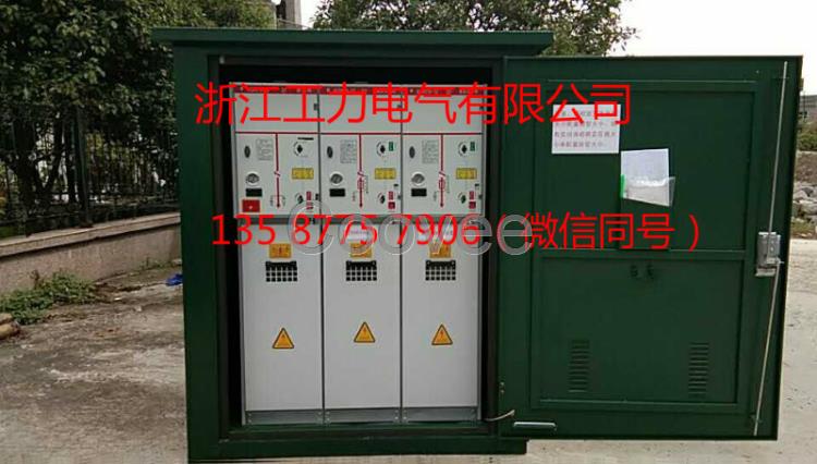 10kV高壓電纜分支箱帶SF6開關一進兩出手動