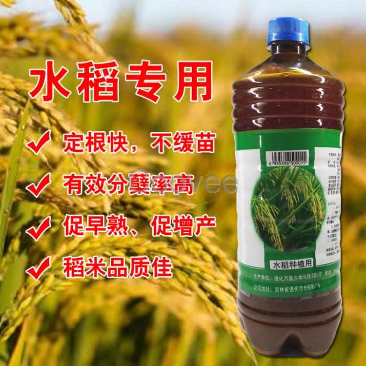 水稻專用的微生物菌劑微生物菌劑生產(chǎn)廠家批發(fā)