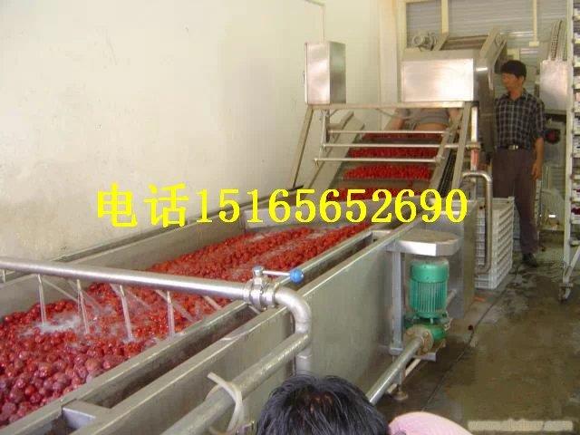 大棗清洗流水線番茄清洗機