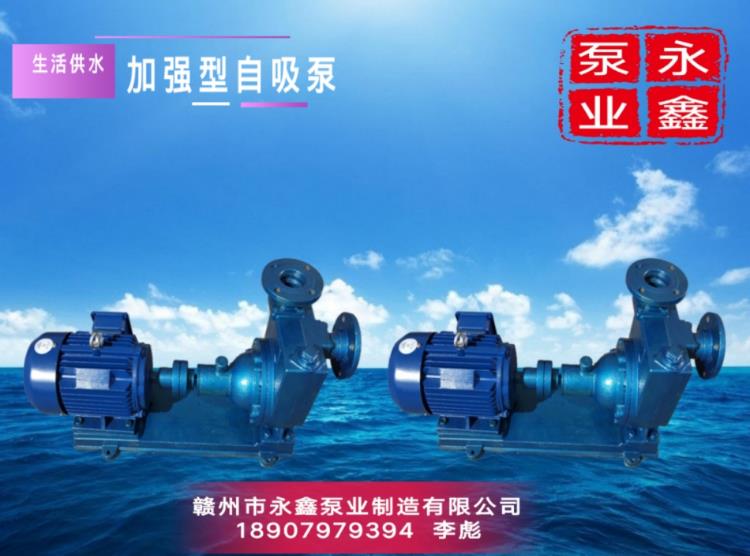 加強(qiáng)型自吸泵