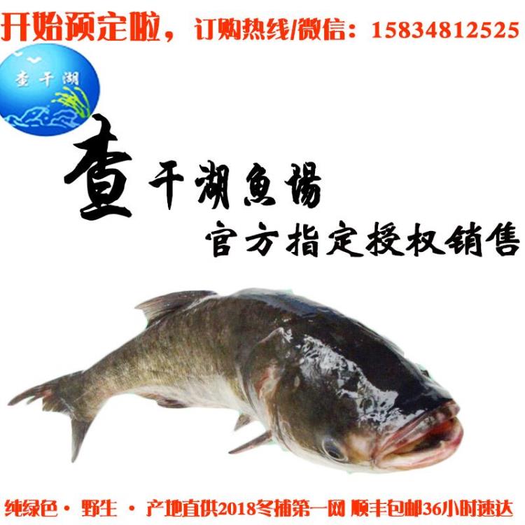 查干湖魚出售