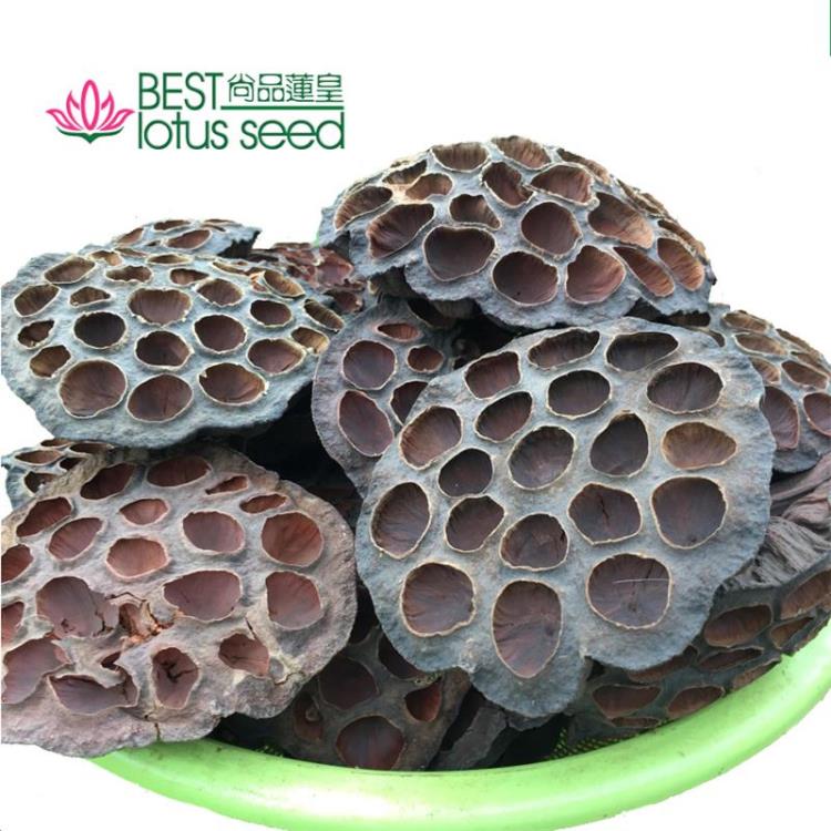 干蓮蓬殼蓮殼藕實(shí)蓮房水芝丹 尚品蓮皇產(chǎn)地批發(fā)供應(yīng)
