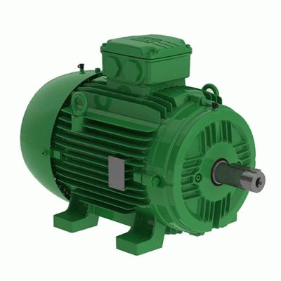 山東濟(jì)南 WEG永磁電機(jī)  W21 Magnet 電機(jī)