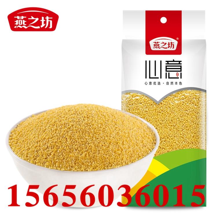 燕之坊黃小米 廠家加工雜糧小米 農(nóng)家批發(fā)米粥