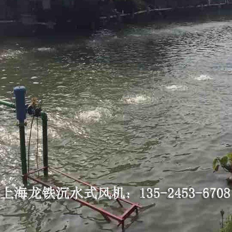 河道治理龍鐵沉水式鼓風機LTW-4022 沉水式曝氣機