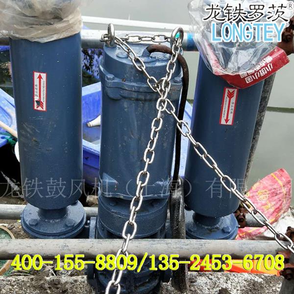 龍鐵環(huán)保設(shè)備LTW-5022沉水風(fēng)機