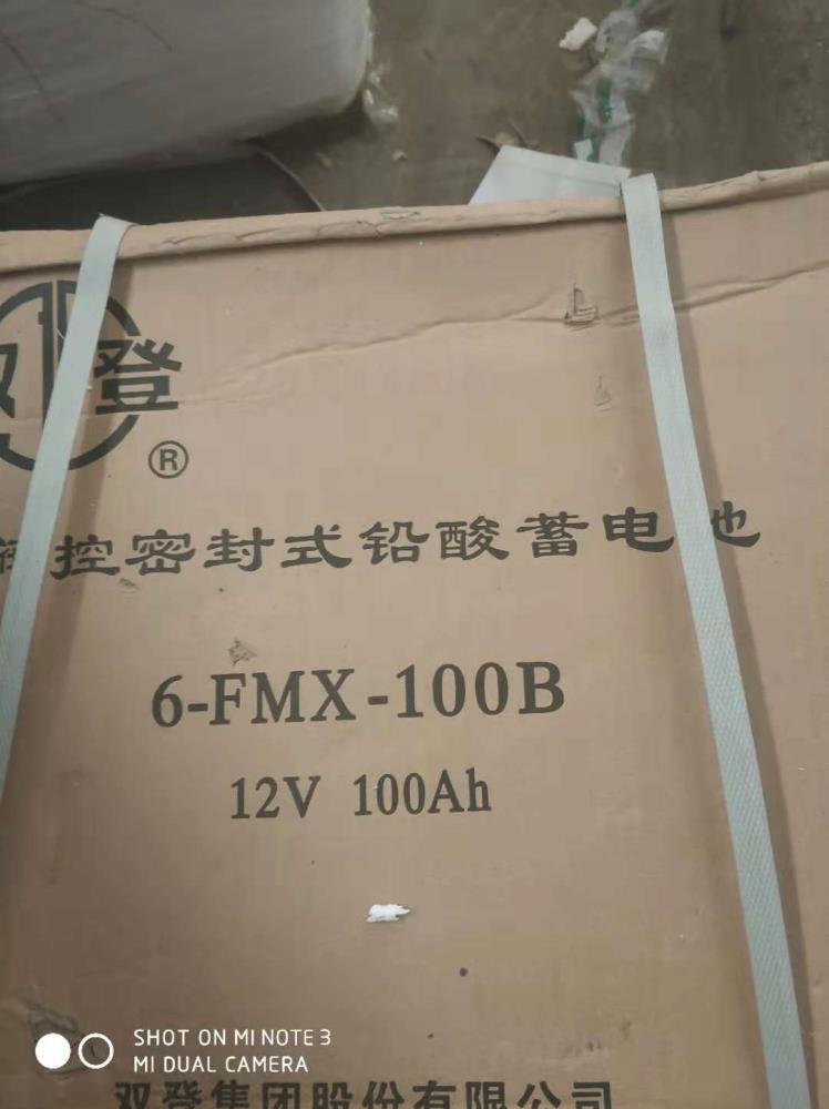 雙登狹長(zhǎng)100B 蓄電池