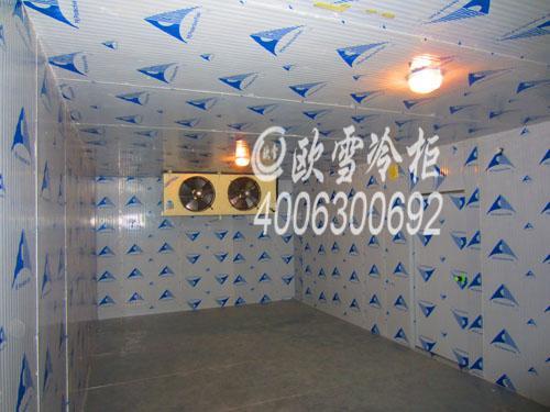 檢測公司定制歐雪冷凍庫