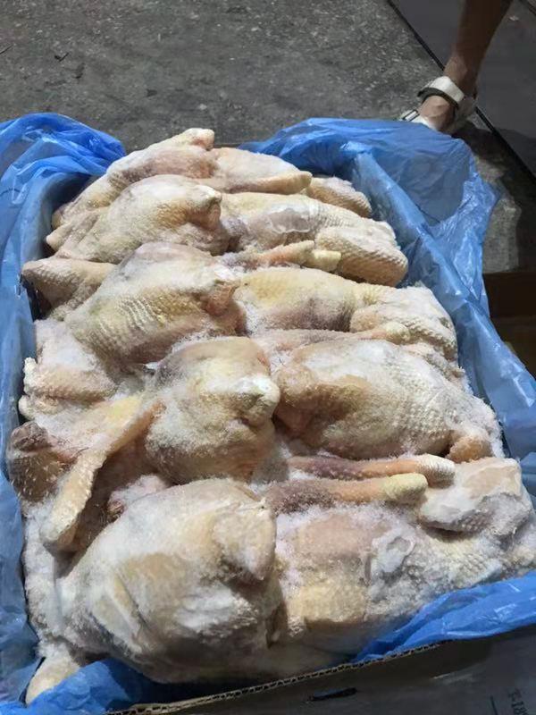 冷凍肉清關流程簡述 深圳報關報檢代理公司