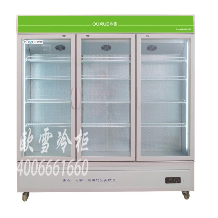 供應東莞便利店玻璃門冷柜
