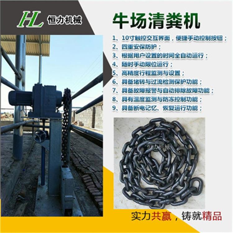 【牛场全自动清粪机】恒力牌养牛设备 牛场全自动清粪机图片 牛棚智能
