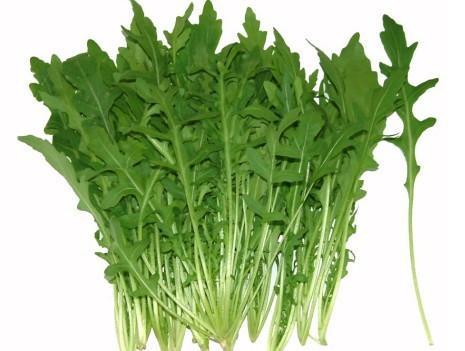 【东北臭菜种子芝麻菜】臭菜种子东北臭菜种子芝麻菜种子