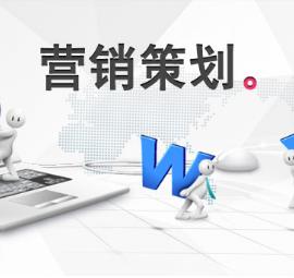 合肥野火信息科技團(tuán)隊營銷策劃