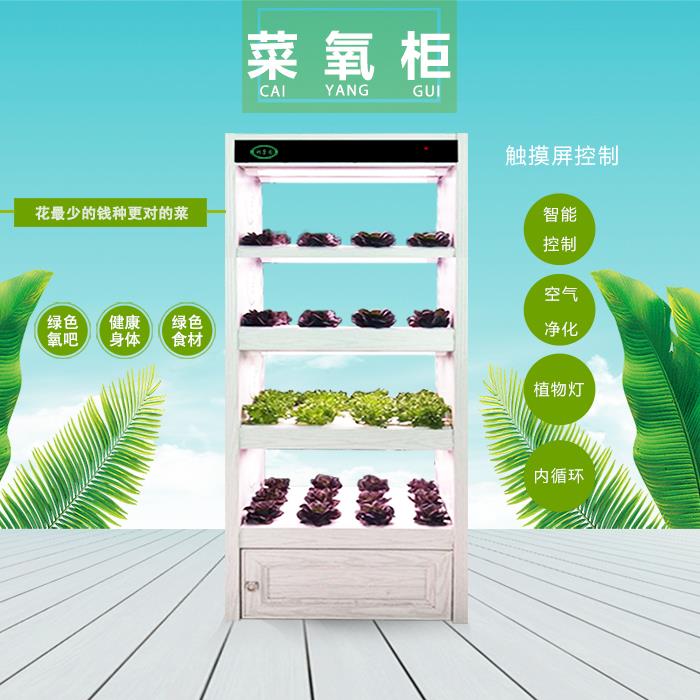 全智能生態(tài)菜氧柜 潤(rùn)康園智能凈化柜