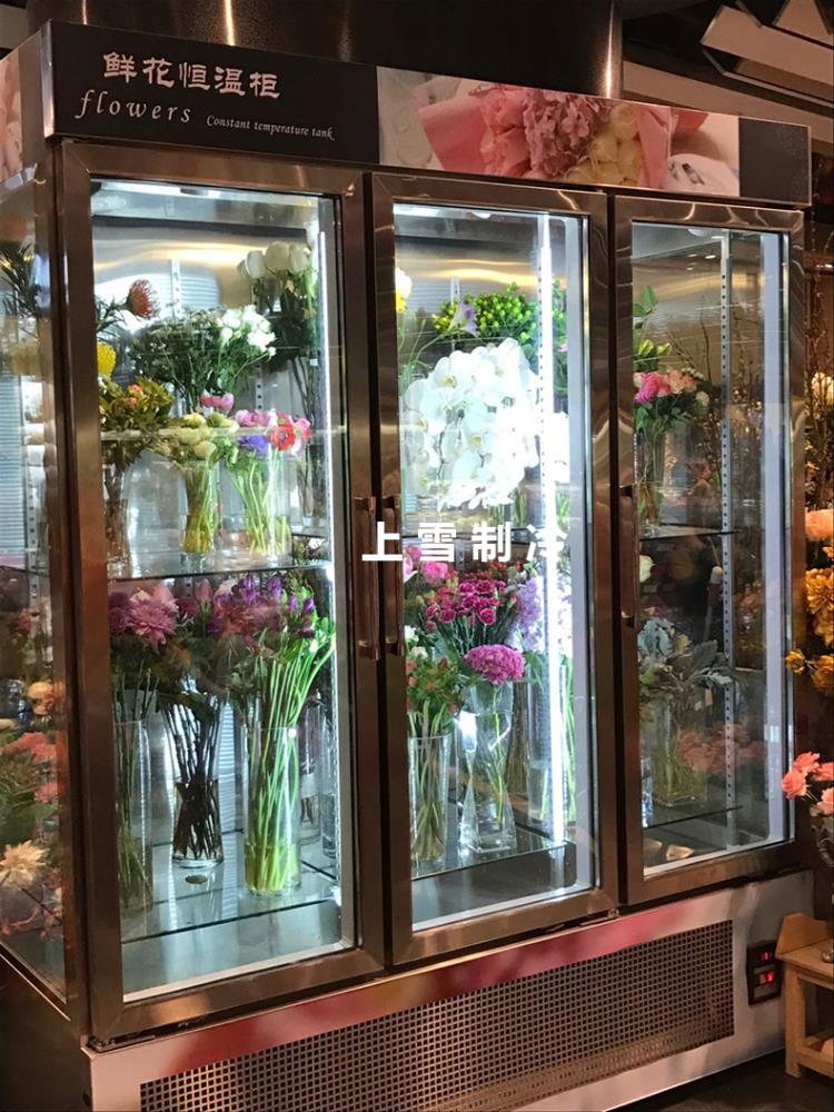 石家莊供應(yīng)鮮花保鮮柜 花店冷藏展示柜